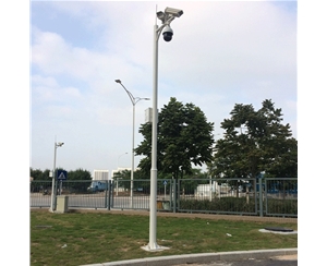 博尔塔拉道路监控杆-LB-05