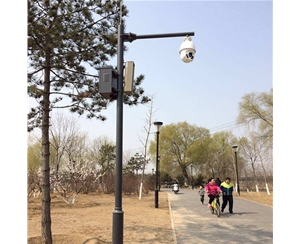 博尔塔拉小区监控杆-LB-02